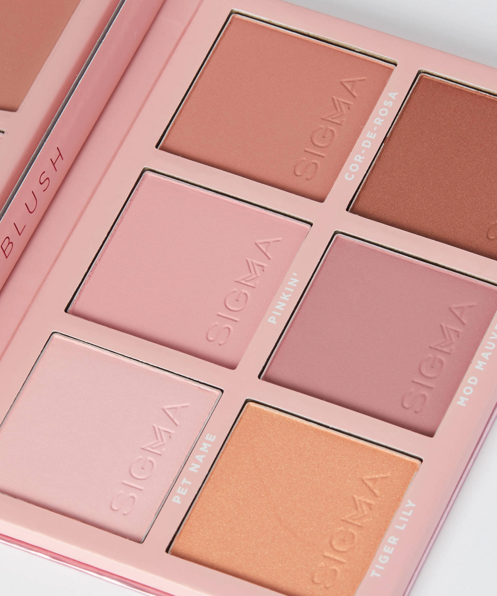 Blush Cheek Palette